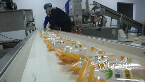 龍江食品產(chǎn)業(yè) 遇見未來(lái)
