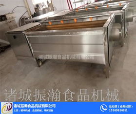 振瀚食品機(jī)械 圖 水果清洗機(jī)視頻 儋州水果清洗機(jī)
