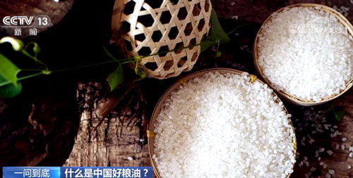 精 白 亮 的大米才是好大米嗎 專(zhuān)家 不一定