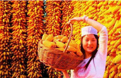 很多人問(wèn):我國(guó)糧食連續(xù)五年突破6億噸,為何還要大量進(jìn)口糧食?