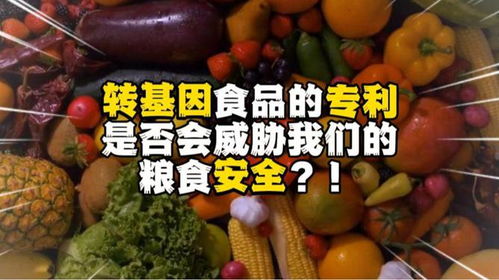 轉(zhuǎn)基因食品的專利是否會(huì)威脅到我們的糧食安全