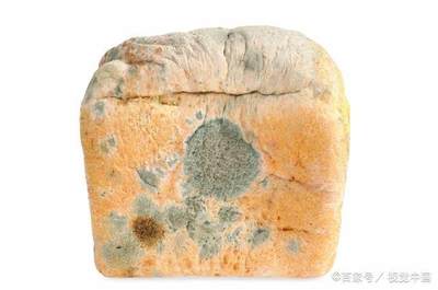 比砒霜更可怕的黃曲霉毒素,為了家人和自己的健康趕緊來了解一下