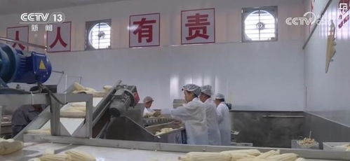一塊田 釋放土地生產(chǎn)經(jīng)營(yíng)活力 一村一品 成農(nóng)戶致富 金鑰匙